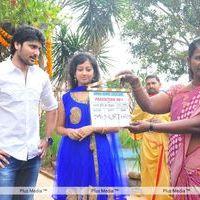 Amma Nanna Creations New Movie opening - Pictures